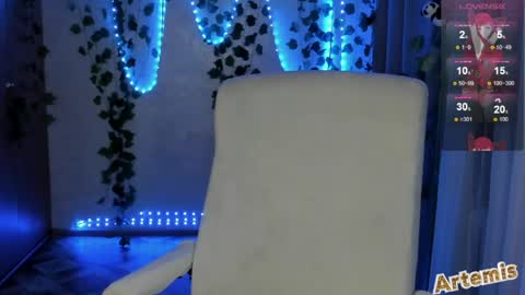 Snapshot of artemis696 chatting on 06.03.26 Artemis my pvt is open and lovense is active online show from 06.03.26
