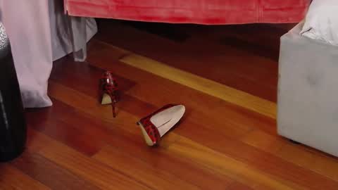 Snapshot of aryaeve chatting on 09.29.25 Aryana online show from 09.29.25