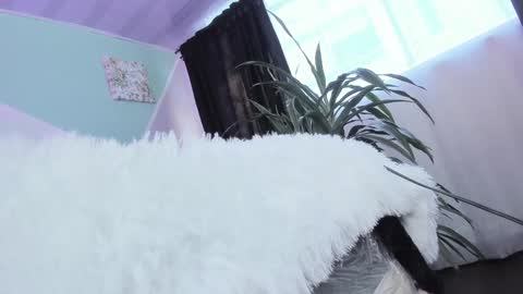 ASHLEY online show from 01.11.25