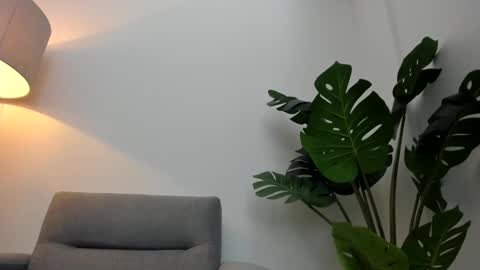 Snapshot of ashllovee_ chatting on 01.17.25 ashllovee online show from 01.17.25