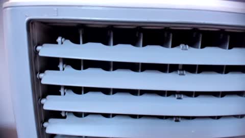 ashlybenison online show from 01.25.25