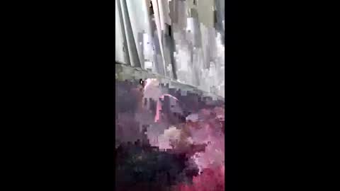 asian_erick online show from 12.15.25