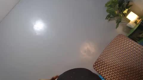 Reyshell online show from 02.14.26