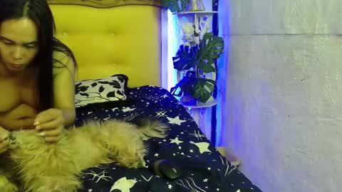 asianladyboy888 online show from 03.11.26