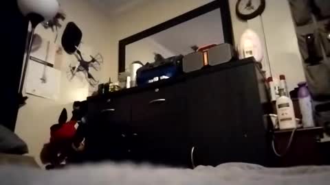 Snapshot of askme2shou chatting on 11.27.25 askme2shou online show from 11.27.25