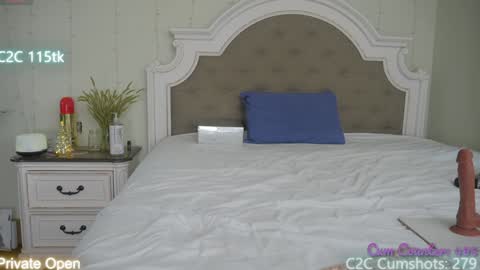 Aspen Wild online show from 12.13.24