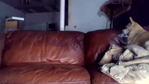 Tell me spread and Ill spread online show from 12.15.25