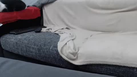 Snapshot of asshunnter chatting on 01.16.25 MARCO online show from 01.16.25