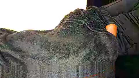 Assiology online show from 03.12.25