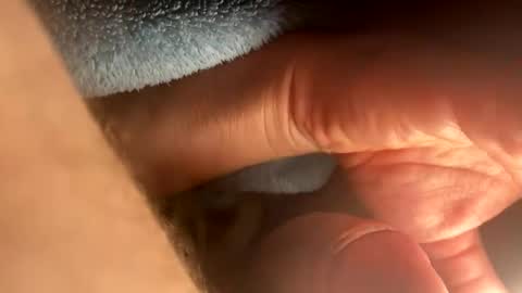 Snapshot of asterwix chatting on 09.21.25 asterwix online show from 09.21.25