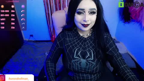 Aurora online show from 12.04.24