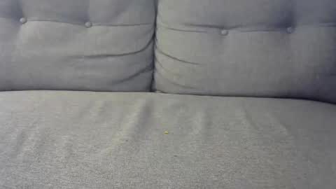 Snapshot of austin24100 chatting on 02.08.25 Austin online show from 02.08.25