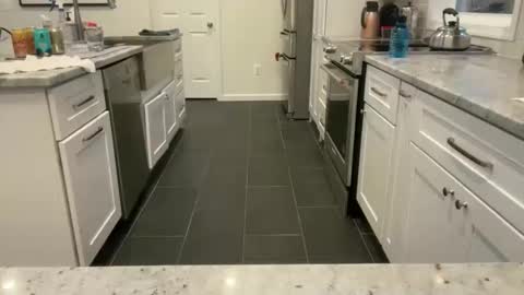 avgdiver online show from 03.23.26