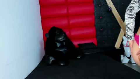 Snapshot of avi_thomsonn chatting on 03.13.26 avi_thomsonn online show from 03.13.26