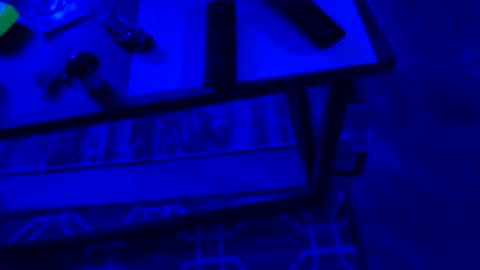 Snapshot of ayla_ty chatting on 09.28.25 AylaTy online show from 09.28.25