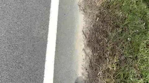 Snapshot of ayla_ty chatting on 03.15.26 AylaTy online show from 03.15.26