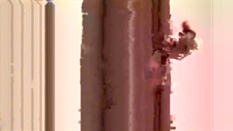 ayquericoseve online show from 11.28.25