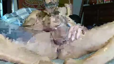 Snapshot of babyblue_1973 chatting on 12.16.24 Poindexxxter online show from 12.16.24