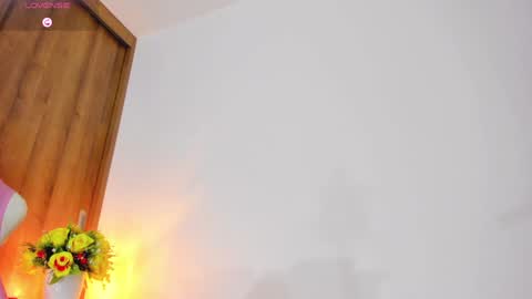 Snapshot of babybriexxx_ chatting on 01.27.25 Brianna online show from 01.27.25