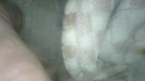 Snapshot of babyxxxangel chatting on 12.19.24 babyxxxangel online show from 12.19.24