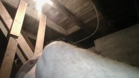 Snapshot of babyxxxangel chatting on 09.20.25 babyxxxangel online show from 09.20.25