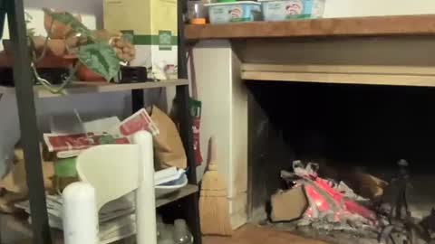 bach online show from 12.12.24