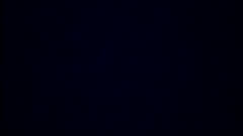 backagain98150 online show from 02.20.26