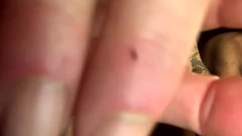 backwoodswolf online show from 03.02.25