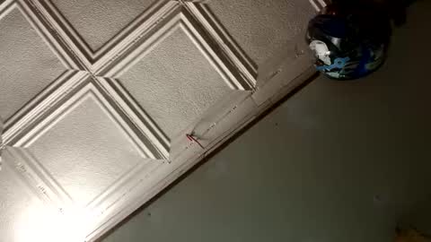 Snapshot of badnews68 chatting on 01.18.25 StillPoPimpin online show from 01.18.25