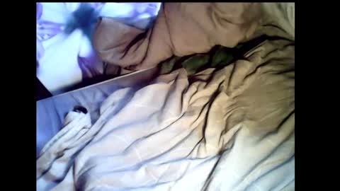 Baghira online show from 02.22.26