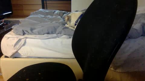 bahn92 online show from 03.11.26