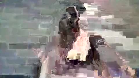 Chaterlain online show from 01.10.25