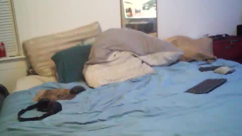 Snapshot of bakerbeachismygig chatting on 02.15.26 bakerbeachismygig online show from 02.15.26