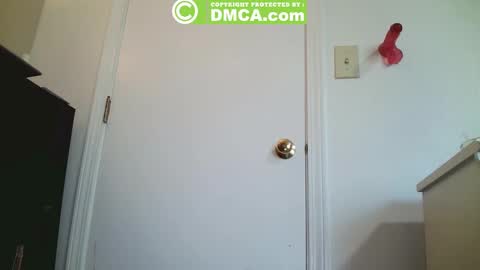 Jack Bear online show from 10.09.25