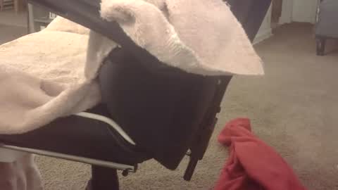 b online show from 03.18.26