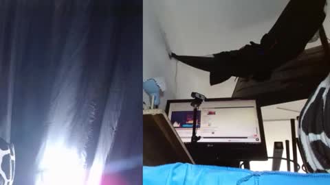 bambam online show from 11.24.25