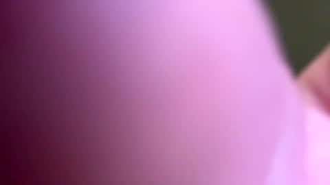 banksdb801 online show from 02.02.26