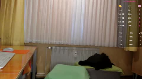      online show from 05.08.26