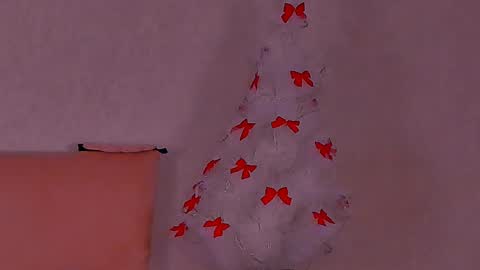 Snapshot of barbara_bb chatting on 01.13.25 Barbie Kim online show from 01.13.25