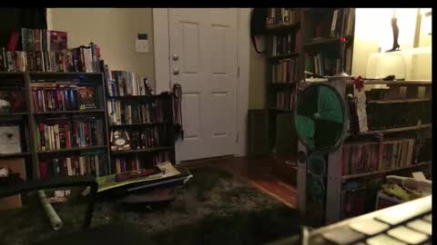 Snapshot of baron_lacroix chatting on 02.22.26 Wraith online show from 02.22.26