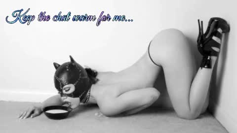 Snapshot of batmansfavoritewife chatting on 07.11.26 Your always sexy Harley online show from 07.11.26