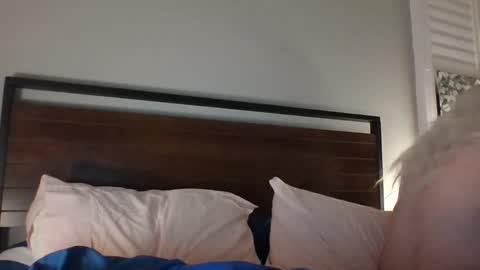 BjBambi online show from 12.14.24