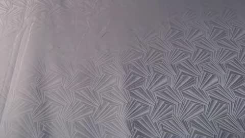bayonette_black online show from 06.11.26