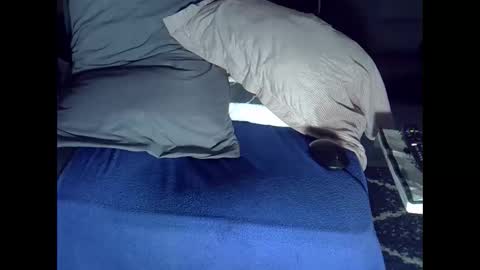 bbc_highness online show from 10.04.25