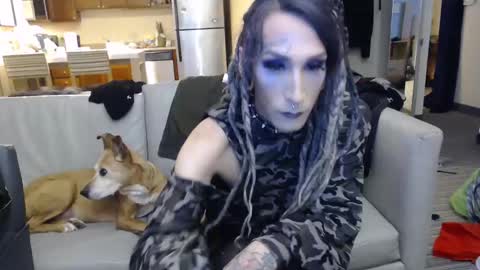 Kittie online show from 12.22.24