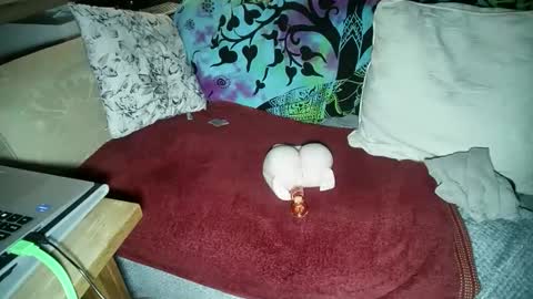 mikiforfun online show from 11.18.25