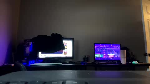 beaniebaby2 online show from 01.21.25