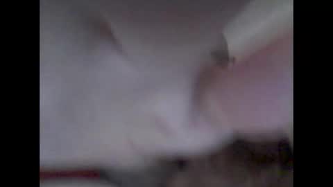 bear14250949 online show from 11.14.25