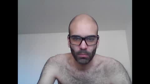 bear14250949 online show from 01.10.26