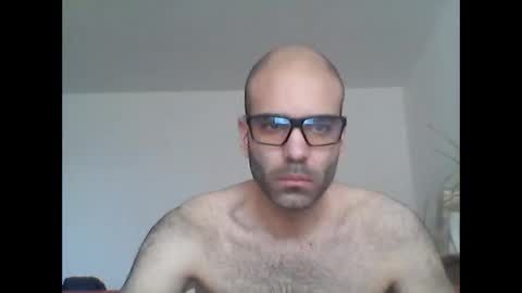 bear14250949 online show from 02.03.26